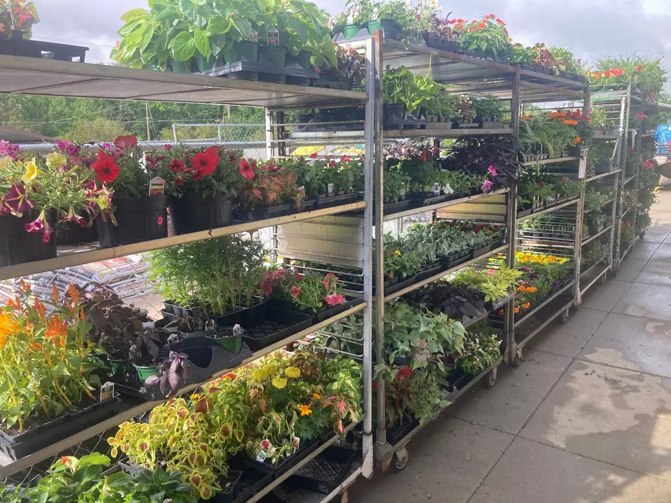 Racks of flowers and hanging plants outside the store