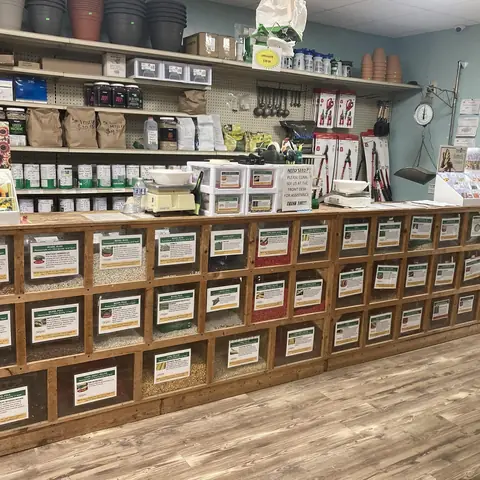 Inside the store: the front counter and seed bins