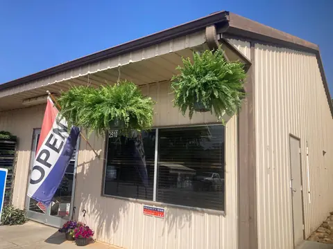 The store's front with an OPEN flag and hanging ferns